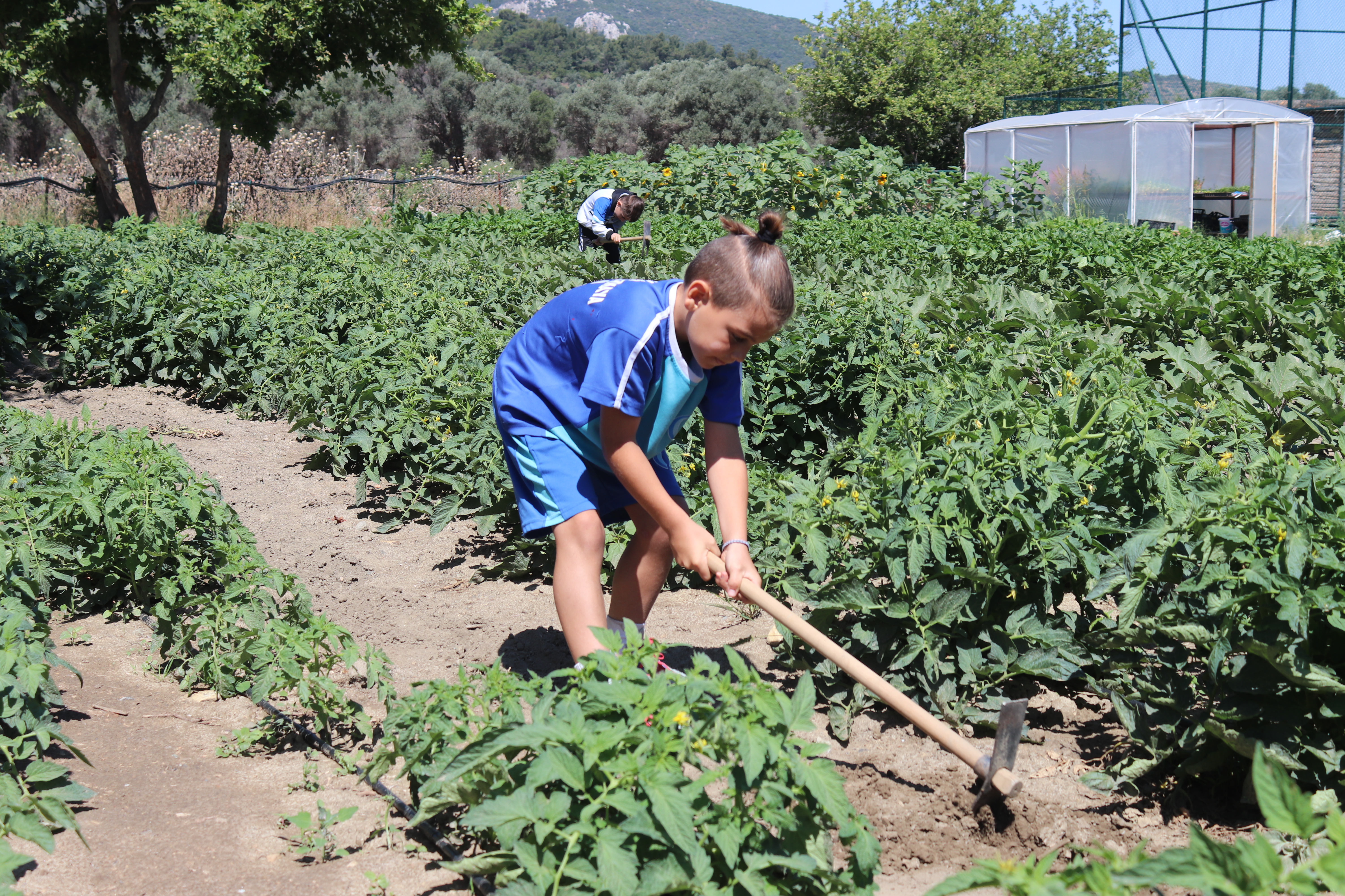Uygulamalı Öğrenme