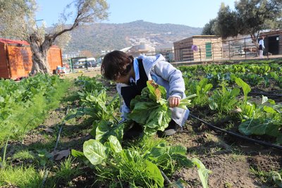 İlkokul öğrencilerinden kareler