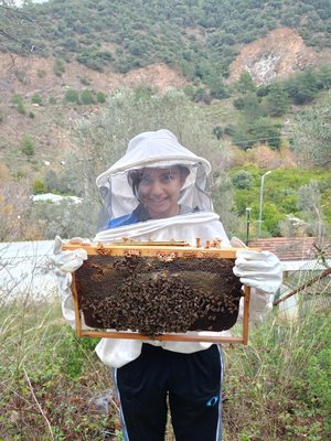 Arıcılık atölyesi