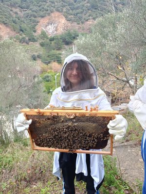 Arıcılık atölyesi
